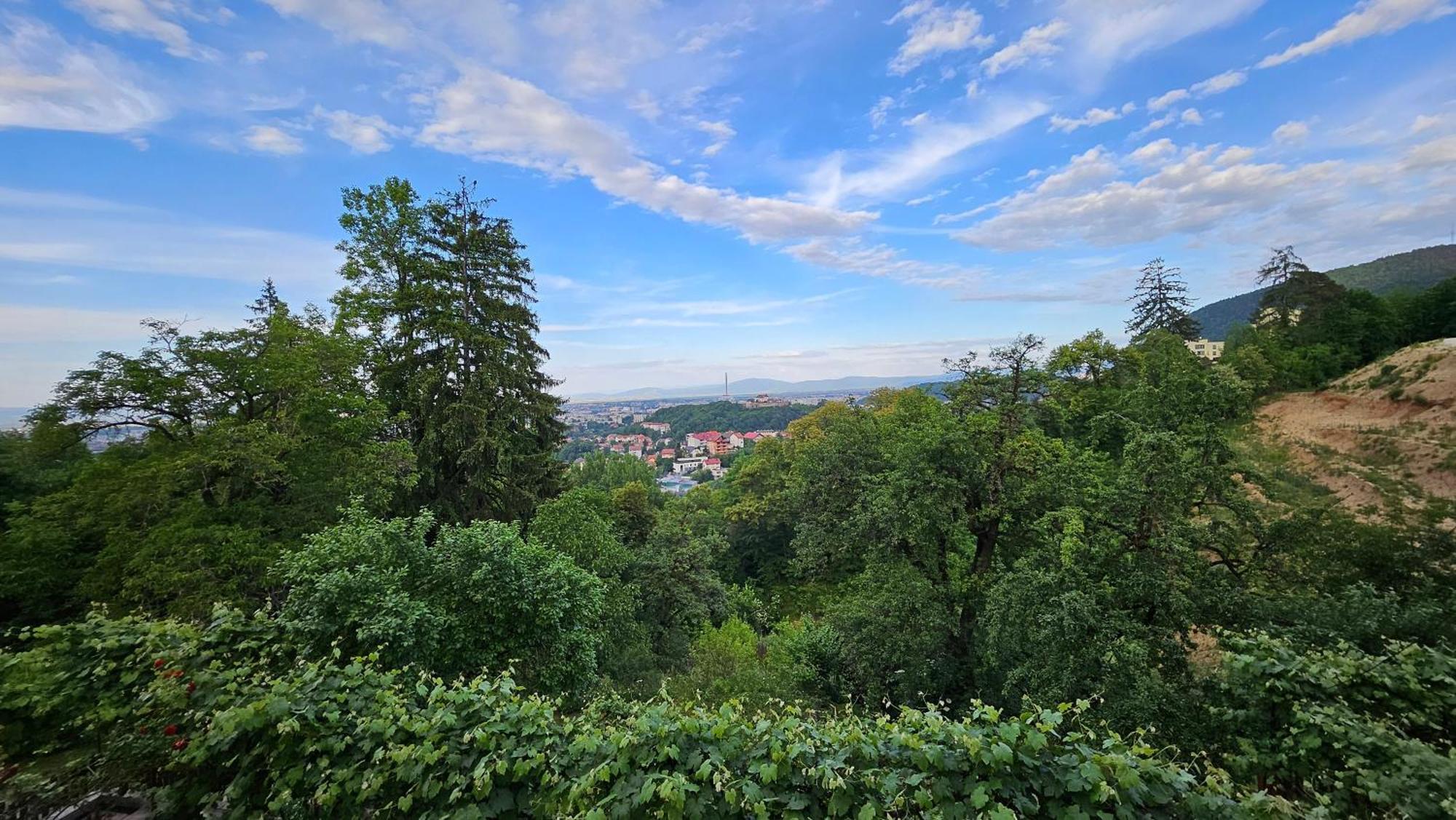 Matei * Brasov